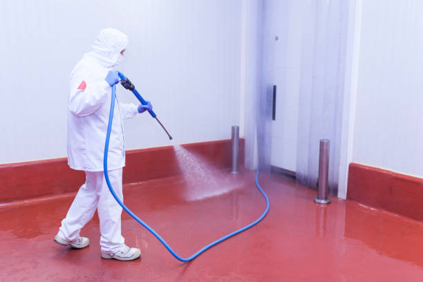 Best Restaurant Pressure Washing  in Covington, VA